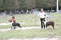 Puppy Males